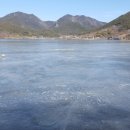 금평농장 이미지