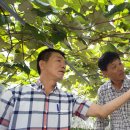 남원원예농협 농산물산지유통센터 이미지