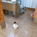 김성록동물병원 이미지