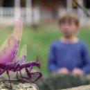 스페이스 아웃(space out) 이미지