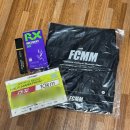 상동 마스터즈 | 초보 러너의 2025년 11월 마라톤 정산 / 서울 라이프마라톤, 스포츠서울 하프 마라톤