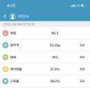 머그워트