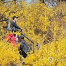 오후 이미지
