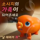 강아지 이발소 이미지