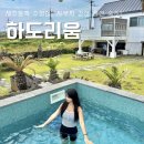 코아루오션A 해안도로 | 제주도펜션 구좌읍 하도리움 오션A동 자쿠지&amp;수영장 숙소