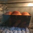 [주간일기챌린지 8월 1주 차] 매일 일상 기록하기