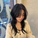 우이즈 이미지
