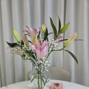 New탑공인중개사사무소 | 반달마을 매매 투자 통합재건축 선도지구 인테리어상태가 좋은 집 - 반달마을 전문 탑공인중개사