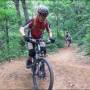 우면산7-2-2 이미지