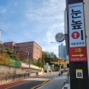 선무태권도 이미지