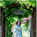 일랑이다 이미지