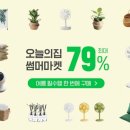 올인원마켓 이미지