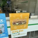 서브웨이 ✨신메뉴✨ 버섯이 왔썹! 솔직후기🥖