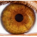 좋은의사들안과의원 이미지