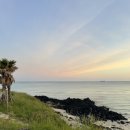 수수별장 | 제주 함덕 오션뷰 펜션 수수별장 4인 가족 이용 후기