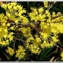 하도소리 이미지