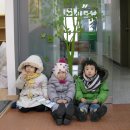 아름드리도서관 이미지