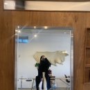 [Louis vuitton] 도핀 MM백 1년 사용 후기 + 사이즈 팁 + 백화점 구매팁 + 사몰가,빈느 + 착용샷