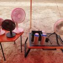 제이;나 플랜트 이미지