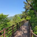 제천 치유의 숲 이미지