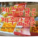 제주감귤촌