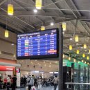 오리온 | 임신 기록 :: 임신 25주 다낭 태교여행, 김해공항 임산부 입출국 후기(진에어 단점)