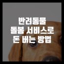애드펫동물병원 | 펫시터 현실 수익은 얼마일까? (월 200만원 가능?)