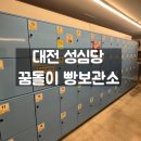 꿈돌이문구 | 대전 성심당 꿈돌이 빵 보관소 내돈내산 후기(야구장 배달, 가격, 짐보관)