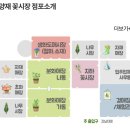 우리공판장 | 양재꽃시장 양재동 화훼공판장 방문 생화 튤립 토요일 구매후기 (가격, 주차장 요금, 운영시간)