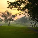 유니골프클럽 이미지