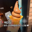 무진대로R | 광주 신세계백화점 푸드코트 ‘백미당’ 메뉴 맛 후기, 초코아이스크림 콘 추천!