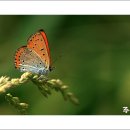주홍 - 동구 동부로30길 25 | 주홍