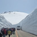 (주)알펜 | [25일본 알펜루트 여행,오픈주] 3. 무로도(4월), 16m 설벽과 파노라마 워킹존