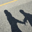 원남로-16 | 「 그리고 갑차기스러운데 10월 취소해도 돼? 」