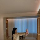 팔레드군산
