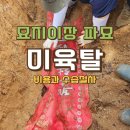 금산장묘 | 묘지이장 파묘 전 필독! 미육탈 발생 시 수습 절차와 개장비용