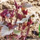 지종농장 이미지