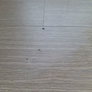 전마루 네이버블로그