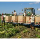 일수농장 이미지