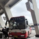 그린카하우스 | 이게 P의 여행이다 1일차 (경주고속터미널, 무장산, 놀러와락게스트하우스, 첨성대, 월정교 야경, 꽃밭)