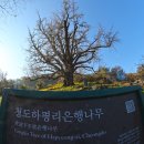 하평리 이미지