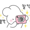 남해시골여행칼국수 이미지