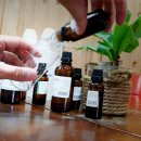 삼신초등학교 이미지