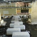 우면산6-4 이미지