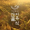10개월 후기 이유식 시판 체험팩 시키기 ! (총 10곳)
