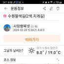 안다미로넷