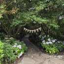 죽사랑김밥사랑 | 5월 제주여행 3박 4일 Day2 - 오설록·카멜리아힐·고집돌우럭·오는정김밥·올레시장 우정회센타