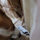 현우카센타 이미지