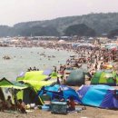 전촌솔밭해수욕장 이미지