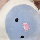 리즈스킨 | 리즈네 스킨부스터 통증 효과✨💧(내돈내산 솔직후기!)